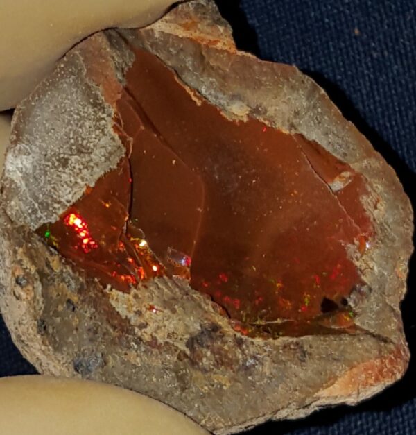 50 Carat Ethiopian Chocolate Shewa Rough Opal #2801230033 - Image 2