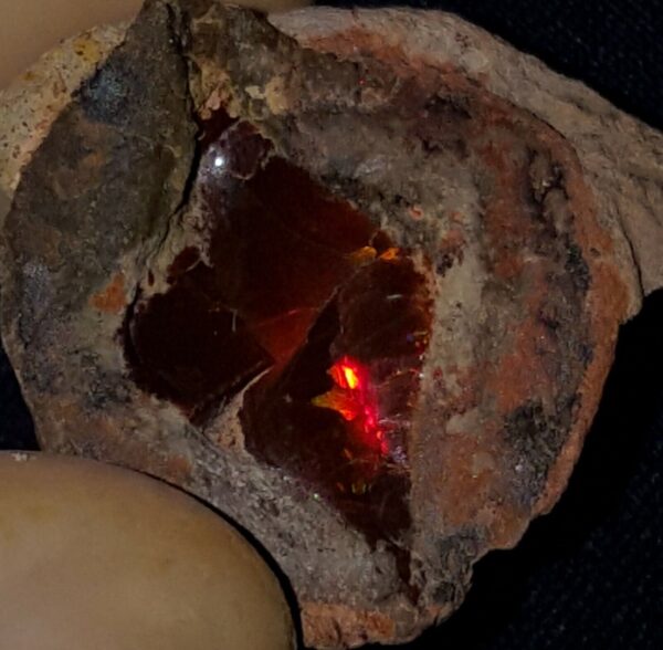 34.6 Carat Ethiopian Chocolate Shewa Rough Opal #2840421015 - Image 2