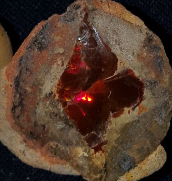 34.6 Carat Ethiopian Chocolate Shewa Rough Opal #2840421015 - Image 3