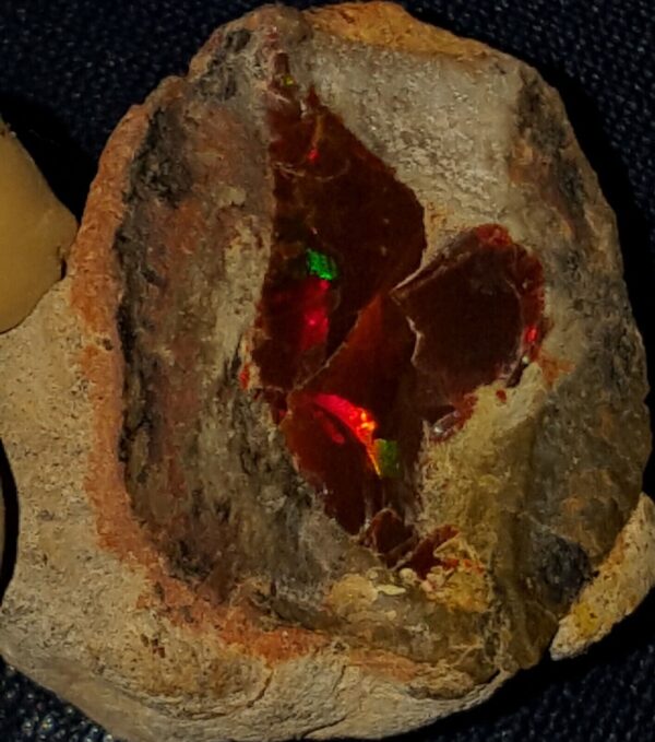 34.6 Carat Ethiopian Chocolate Shewa Rough Opal #2840421015 - Image 4