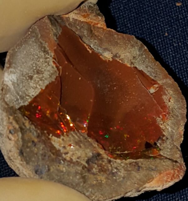 50 Carat Ethiopian Chocolate Shewa Rough Opal #2801230033 - Image 3