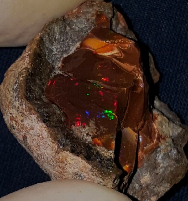 62.35 Carat Ethiopian Chocolate Shewa Rough Opal #2801230024 - Image 2