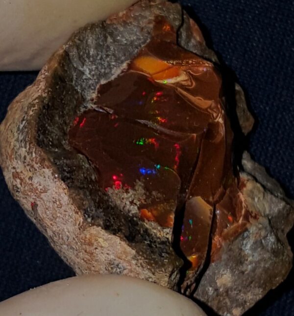 62.35 Carat Ethiopian Chocolate Shewa Rough Opal #2801230024 - Image 3