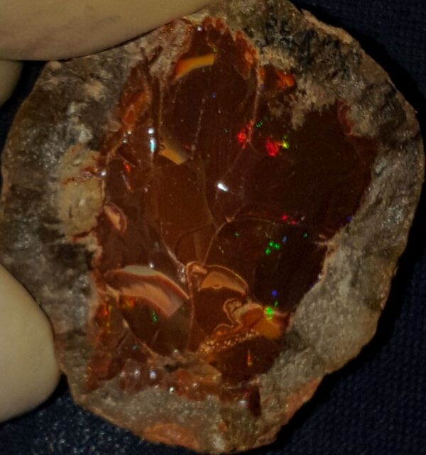 62.35 Carat Ethiopian Chocolate Shewa Rough Opal #2801230024 - Image 4