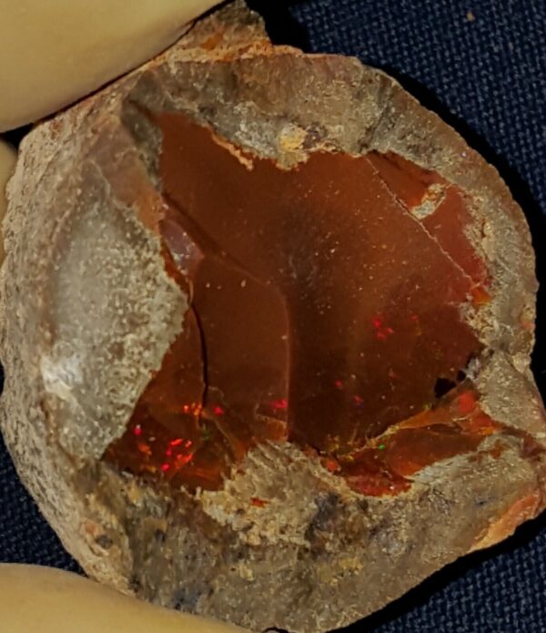 50 Carat Ethiopian Chocolate Shewa Rough Opal #2801230033 - Image 4