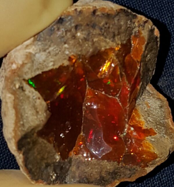 48.8 Carat Ethiopian Chocolate Shewa Rough Opal #2801230034 - Image 4