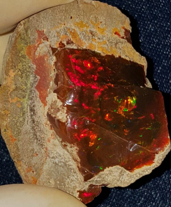 93.6 Carat Ethiopian Chocolate Shewa Rough Opal #2820121045 - Image 2