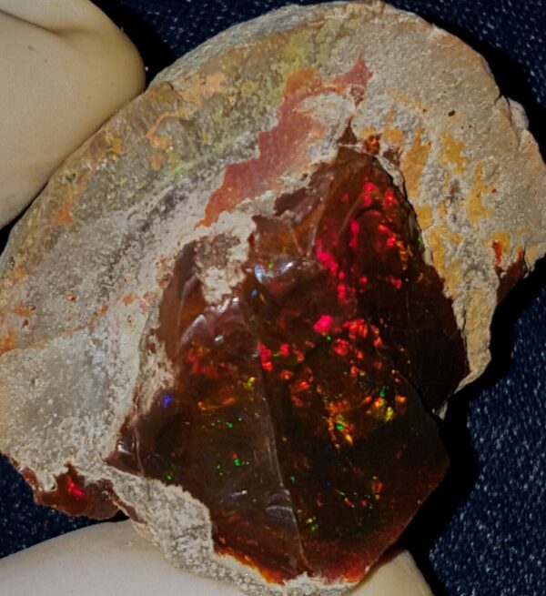 93.6 Carat Ethiopian Chocolate Shewa Rough Opal #2820121045 - Image 3