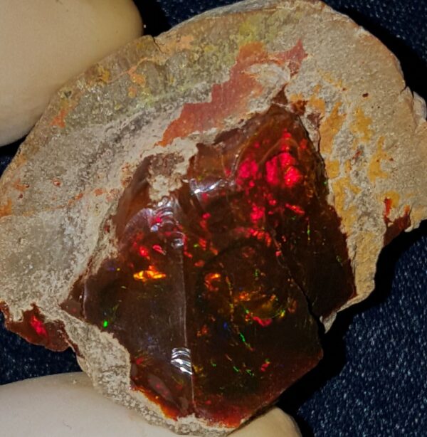 93.6 Carat Ethiopian Chocolate Shewa Rough Opal #2820121045 - Image 4