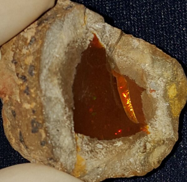 63.95 Carat Ethiopian Chocolate Shewa Rough Opal #2820121033 - Image 2