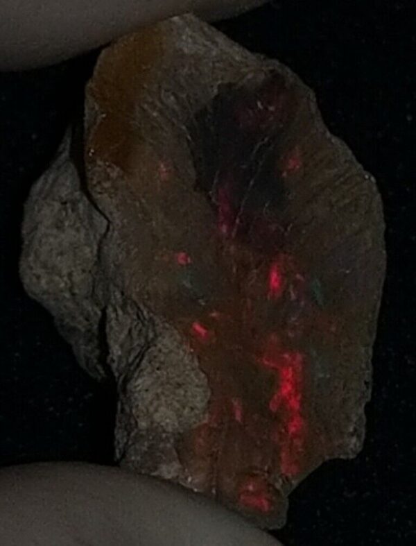 6.5 Carat Beautiful Ethiopian Wello (Welo) Opal Rough #WR1900704021 - Image 2