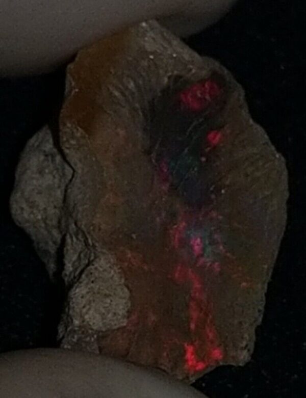 6.5 Carat Beautiful Ethiopian Wello (Welo) Opal Rough #WR1900704021 - Image 4