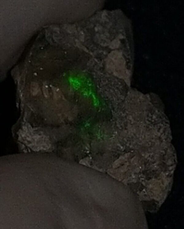 8 Carat Beautiful Ethiopian Wello (Welo) Opal Rough #WR1900704019 - Image 2