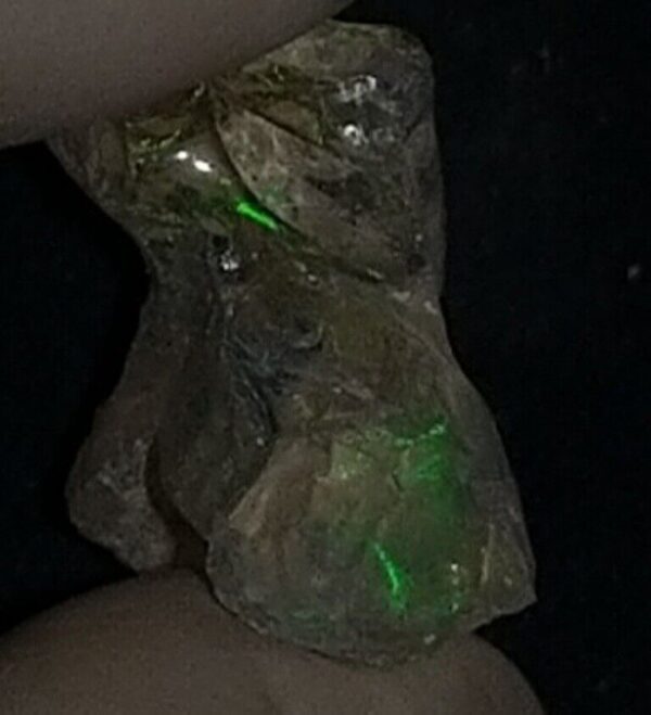 6 Carat Beautiful Ethiopian Wello (Welo) Opal Rough #WR1900704009 - Image 4