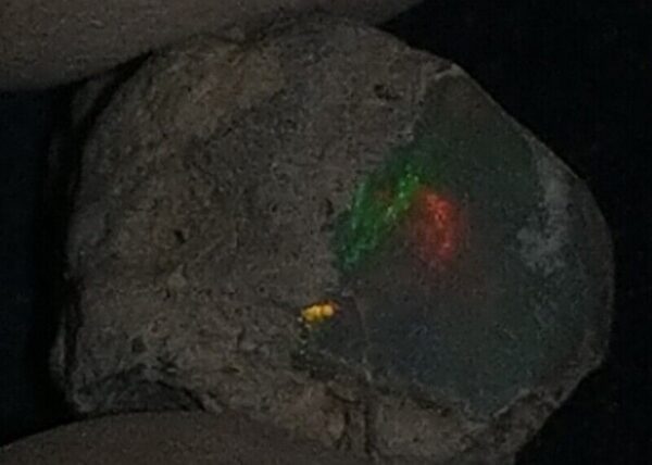 6 Carat Beautiful Ethiopian Wello (Welo) Opal Rough #WR1440630040 - Image 4