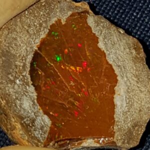 32.6 Carat Ethiopian Chocolate Shewa Rough Opal #2811230042
