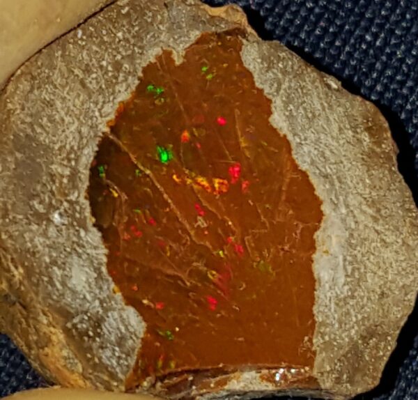 32.6 Carat Ethiopian Chocolate Shewa Rough Opal #2811230042