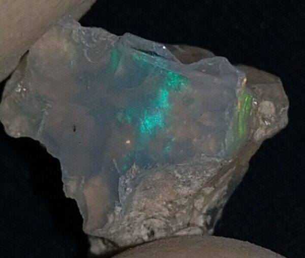 5.9 Carat Beautiful Ethiopian Wello (Welo) Opal Rough #WR2250710037 - Image 4