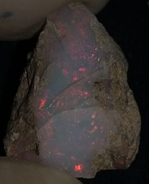 7 Carat Beautiful Ethiopian Wello (Welo) Opal Rough #WR1950706028 - Image 2