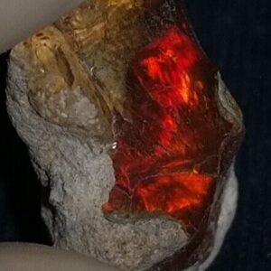 6 Carat Beautiful Ethiopian Wello (Welo) Opal Rough #WR1950706013 - Image 3