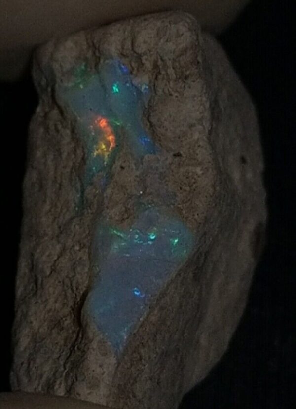 7 Carat Beautiful Ethiopian Wello (Welo) Opal Rough #WR1950706030 - Image 4