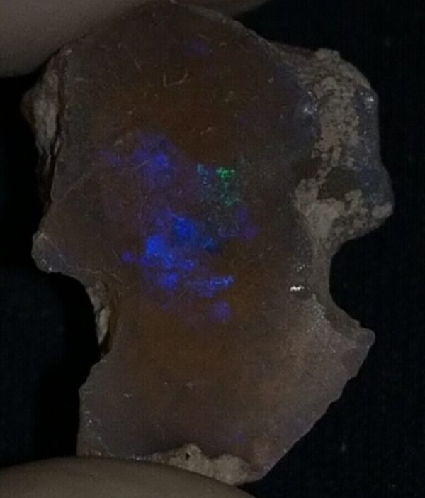 6 Carat Beautiful Ethiopian Wello (Welo) Opal Rough #WR1950706018 - Image 3