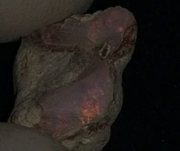 6 Carat Beautiful Ethiopian Wello (Welo) Opal Rough #WR1870630038