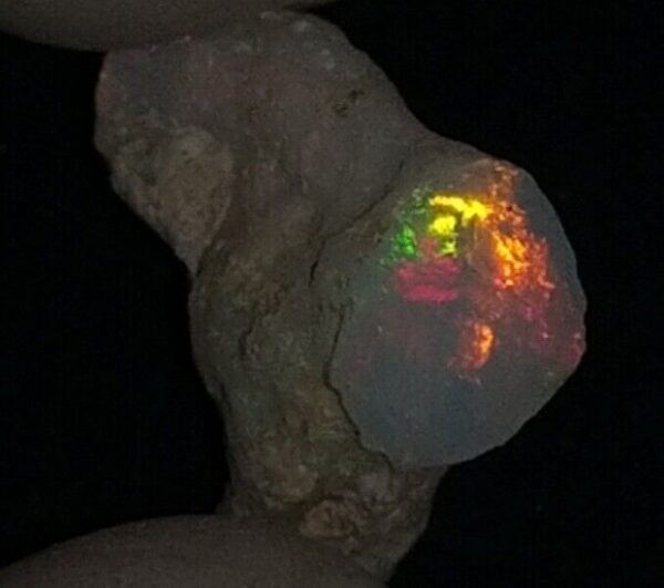 7.5 Carat Beautiful Ethiopian Wello (Welo) Opal Rough #WR1870630032