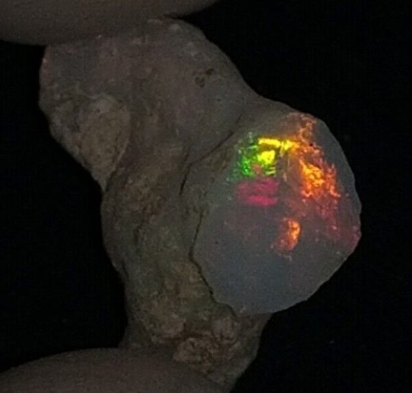 7.5 Carat Beautiful Ethiopian Wello (Welo) Opal Rough #WR1870630032 - Image 2