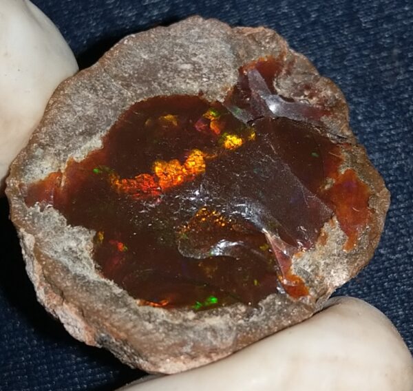 59.5 Carat Ethiopian Chocolate Shewa Rough Opal #6100127047 - Image 2