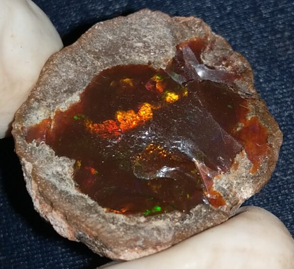 59.5 Carat Ethiopian Chocolate Shewa Rough Opal #6100127047 - Image 3