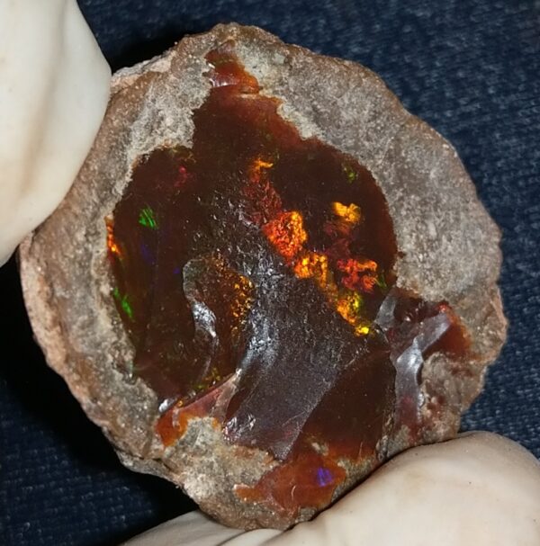 59.5 Carat Ethiopian Chocolate Shewa Rough Opal #6100127047 - Image 4