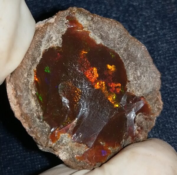 59.5 Carat Ethiopian Chocolate Shewa Rough Opal #6100127047 - Image 5