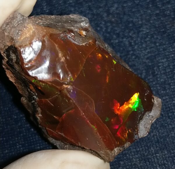 61.5 Carat Ethiopian Chocolate Shewa Rough Opal #6100127050 - Image 5