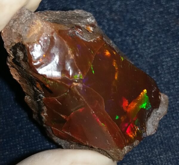 61.5 Carat Ethiopian Chocolate Shewa Rough Opal #6100127050 - Image 4