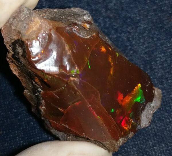 61.5 Carat Ethiopian Chocolate Shewa Rough Opal #6100127050 - Image 3