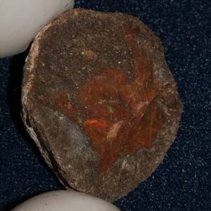 35.3 Carat Ethiopian Chocolate Shewa Rough Opal #5210806001