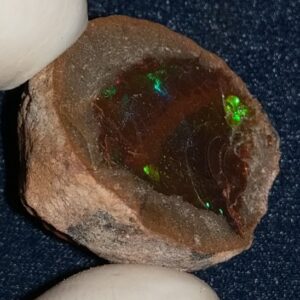 40.9 Carat Ethiopian Chocolate Shewa Rough Opal #5210806002