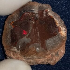 44.4 Carat Ethiopian Chocolate Shewa Rough Opal #5210806003