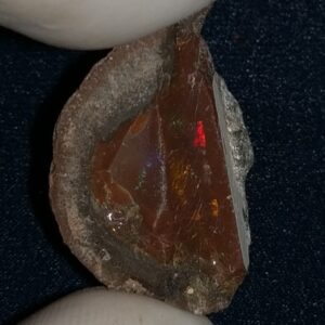 26.25 Carat Ethiopian Chocolate Shewa Rough Opal #5210806006