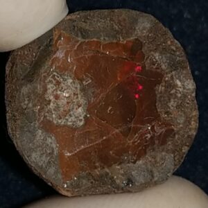 71.35 Carat Ethiopian Chocolate Shewa Rough Opal #5210806010