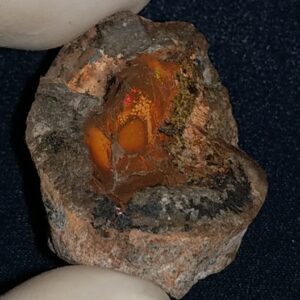 51.8 Carat Ethiopian Chocolate Shewa Rough Opal #5210806011