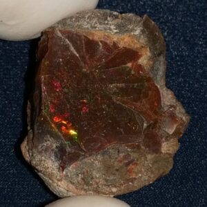 51.75 Carat Ethiopian Chocolate Shewa Rough Opal #5210806012