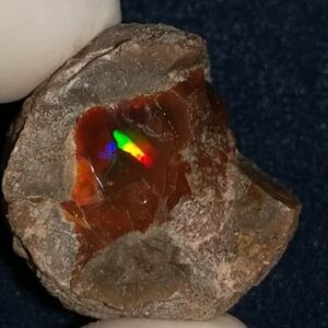 63.05 Carat Ethiopian Chocolate Shewa Rough Opal #5210806013