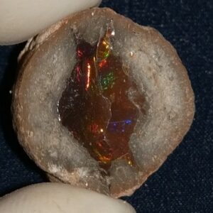 27.55 Carat Ethiopian Chocolate Shewa Rough Opal #5210806015