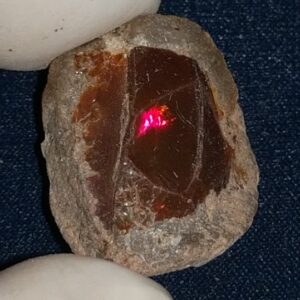 16.1 Carat Ethiopian Chocolate Shewa Rough Opal #5210806016