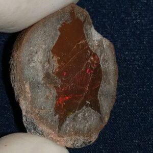 34.9 Carat Ethiopian Chocolate Shewa Rough Opal #5210806020