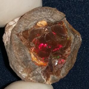 38.5 Carat Ethiopian Chocolate Shewa Rough Opal #5210806022