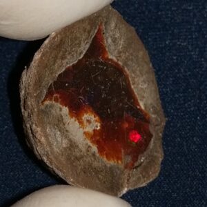 29.8 Carat Ethiopian Chocolate Shewa Rough Opal #5210806027