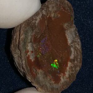 47.85 Carat Ethiopian Chocolate Shewa Rough Opal #5210806029